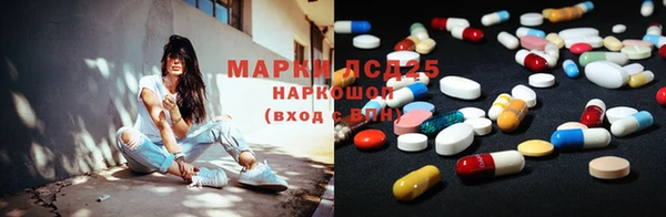 гидра Дмитров