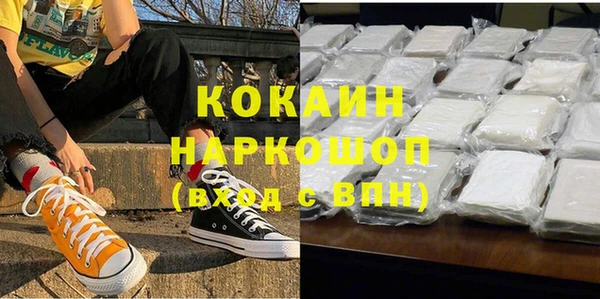 гидра Дмитров