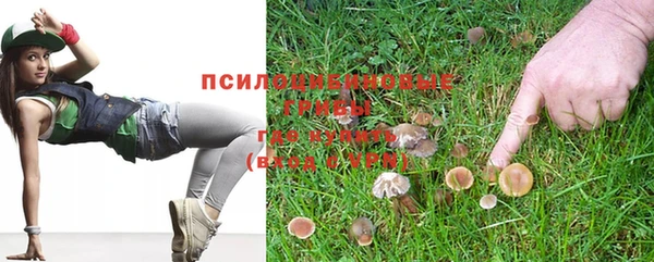 спайс Дмитриев