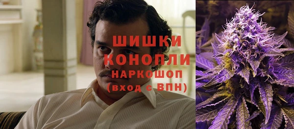 спайс Дмитриев