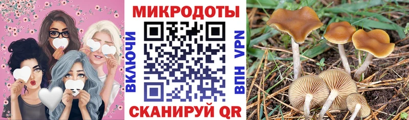Галлюциногенные грибы прущие грибы  Купить  Томмот 